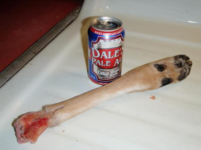 bones and beer bones and beer